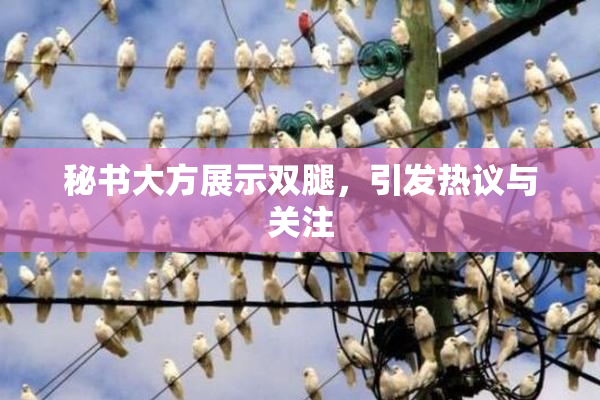 秘书大方展示双腿，引发热议与关注