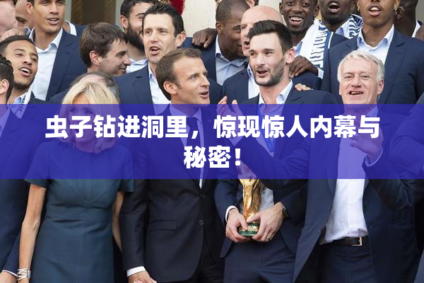 虫子钻进洞里，惊现惊人内幕与秘密！
