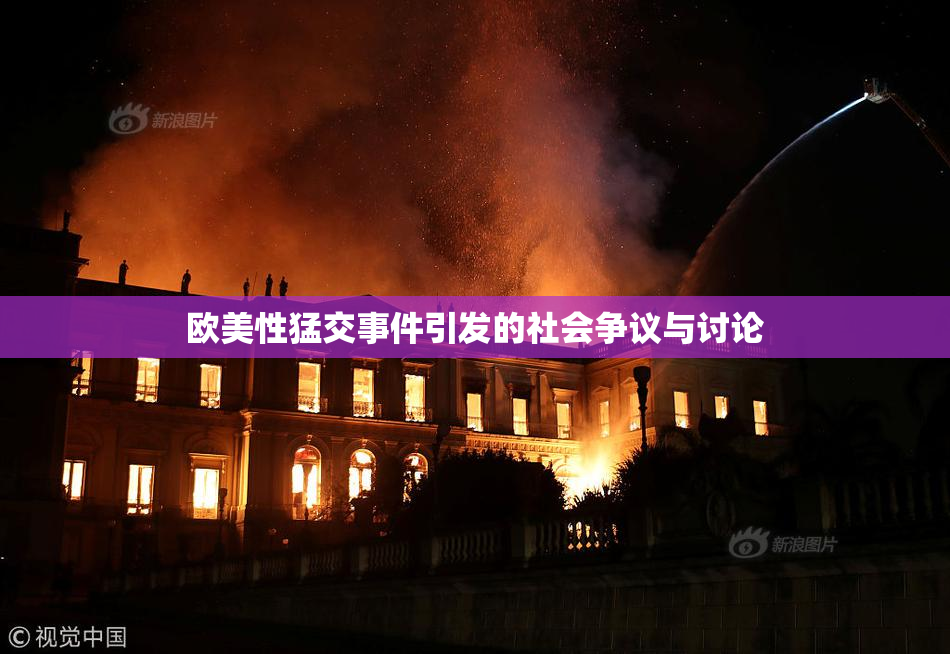 欧美性猛交事件引发的社会争议与讨论