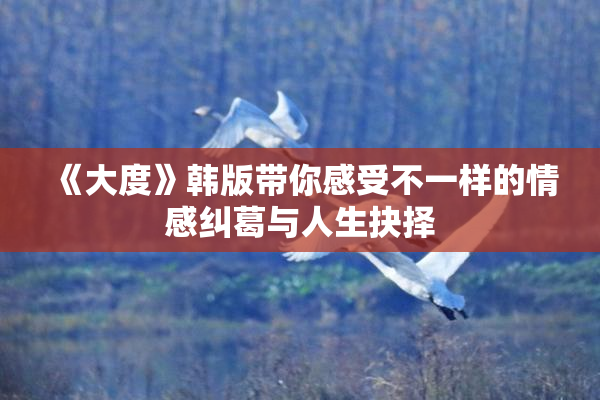 《大度》韩版带你感受不一样的情感纠葛与人生抉择