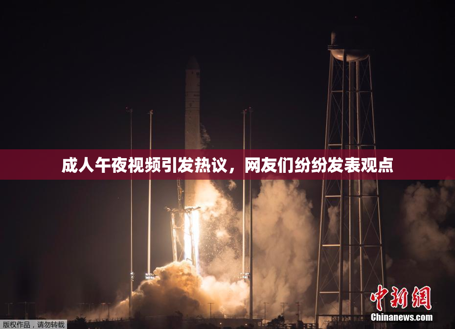 成人午夜视频引发热议，网友们纷纷发表观点