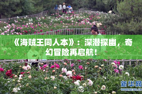 《海贼王同人本》：深潜探幽，奇幻冒险再启航！