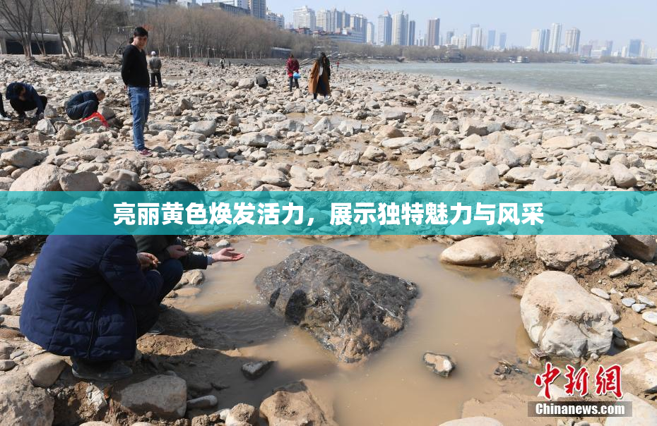 亮丽黄色焕发活力，展示独特魅力与风采