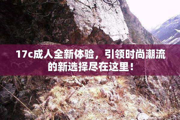 17c成人全新体验，引领时尚潮流的新选择尽在这里！