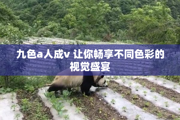 九色a人成v 让你畅享不同色彩的视觉盛宴