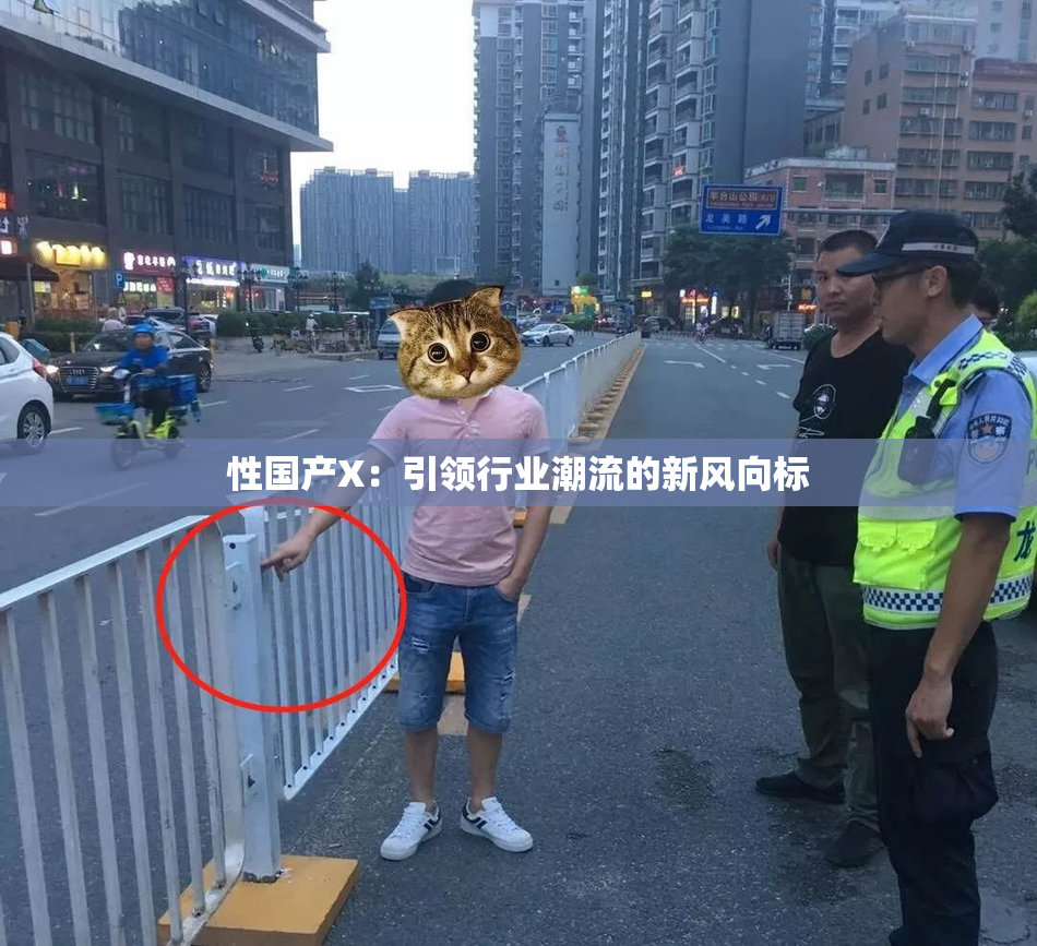 性国产X：引领行业潮流的新风向标
