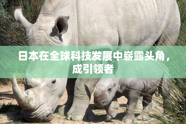 日本在全球科技发展中崭露头角，成引领者