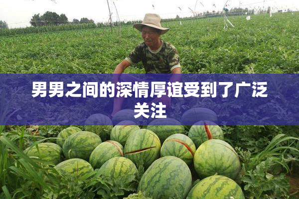 男男之间的深情厚谊受到了广泛关注