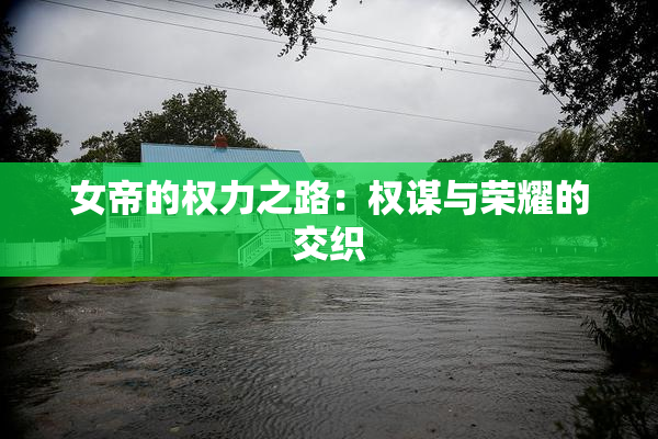 女帝的权力之路：权谋与荣耀的交织