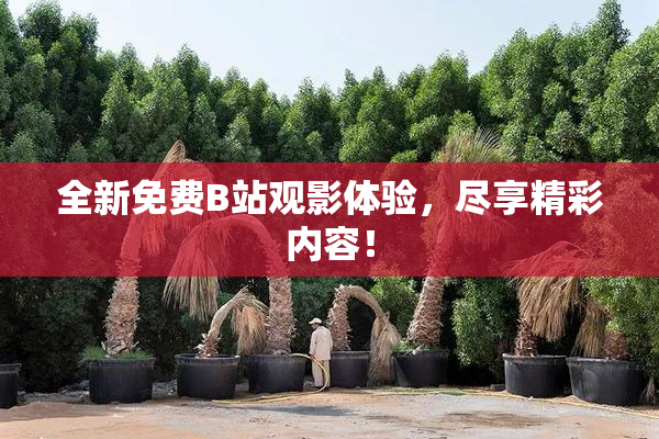 全新免费B站观影体验，尽享精彩内容！