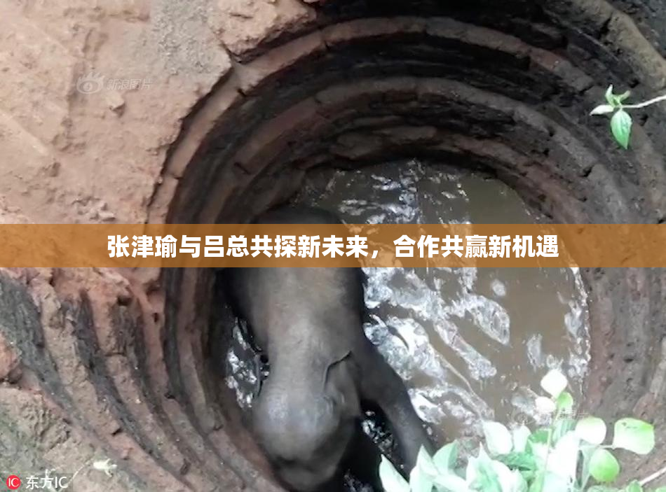 张津瑜与吕总共探新未来，合作共赢新机遇