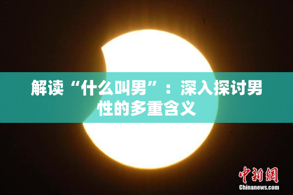 解读“什么叫男”：深入探讨男性的多重含义