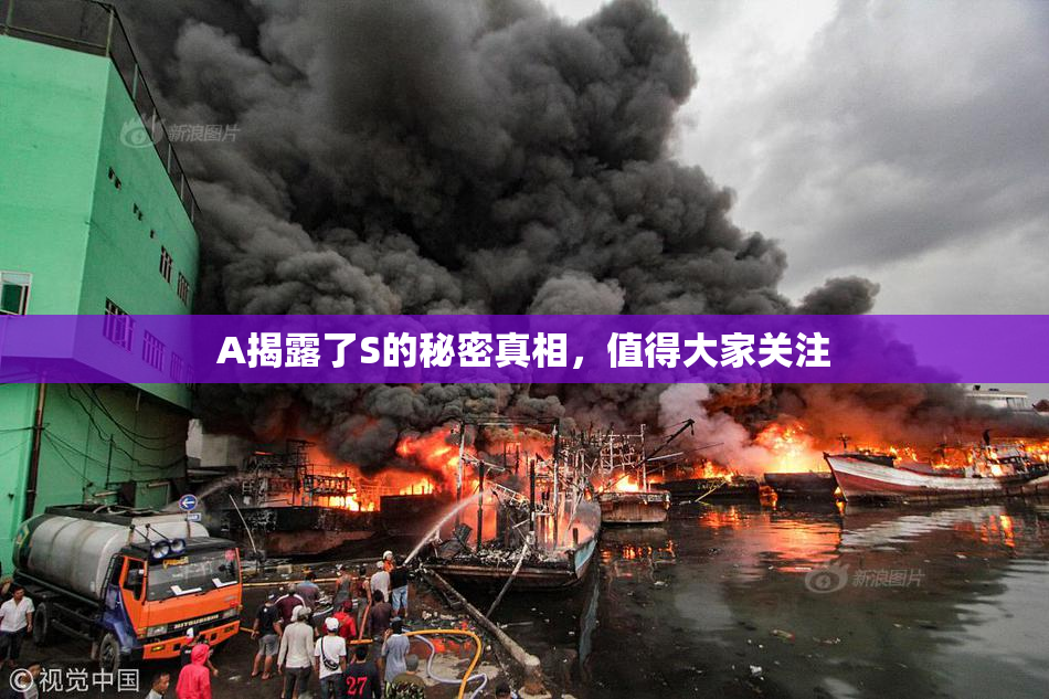 A揭露了S的秘密真相，值得大家关注