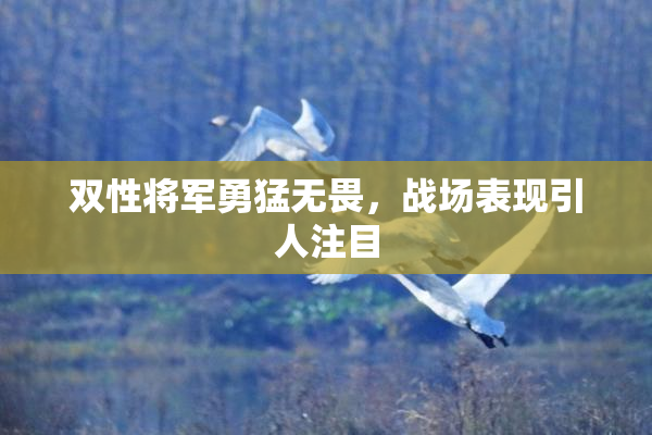 双性将军勇猛无畏，战场表现引人注目