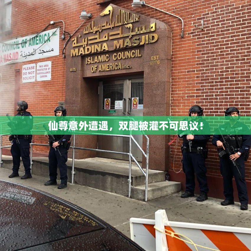 仙尊意外遭遇，双腿被灌不可思议！