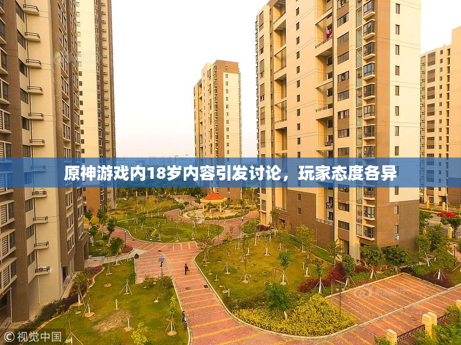 原神游戏内18岁内容引发讨论，玩家态度各异