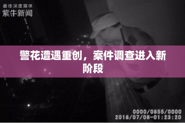 警花遭遇重创，案件调查进入新阶段