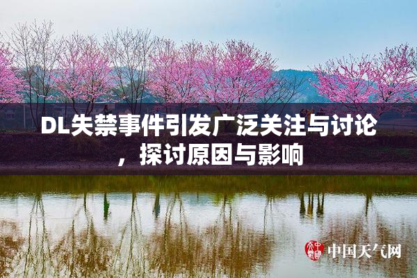 DL失禁事件引发广泛关注与讨论，探讨原因与影响