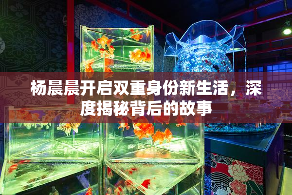 杨晨晨开启双重身份新生活，深度揭秘背后的故事