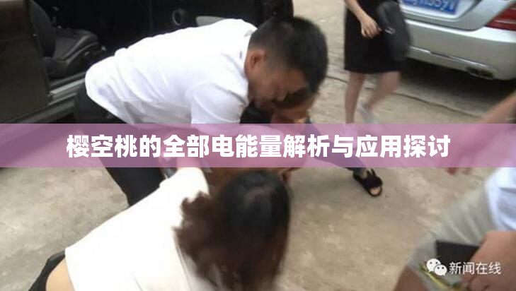 樱空桃的全部电能量解析与应用探讨