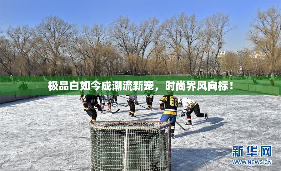 极品白如今成潮流新宠，时尚界风向标！