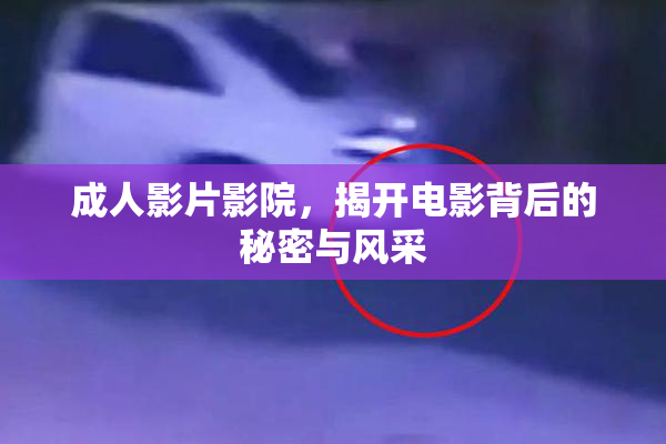 成人影片影院，揭开电影背后的秘密与风采