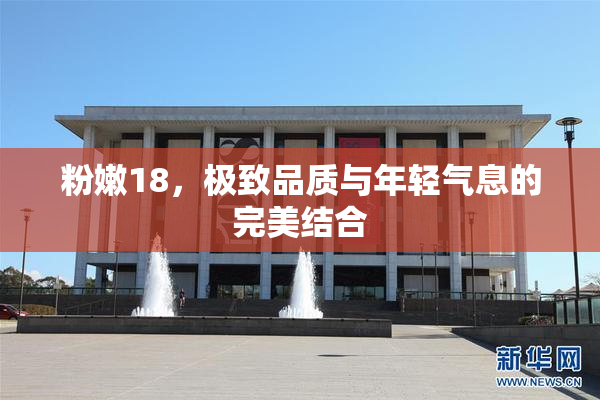 粉嫩18，极致品质与年轻气息的完美结合