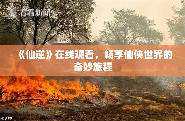 《仙逆》在线观看，畅享仙侠世界的奇妙旅程