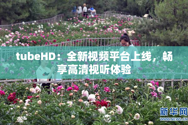 tubeHD：全新视频平台上线，畅享高清视听体验