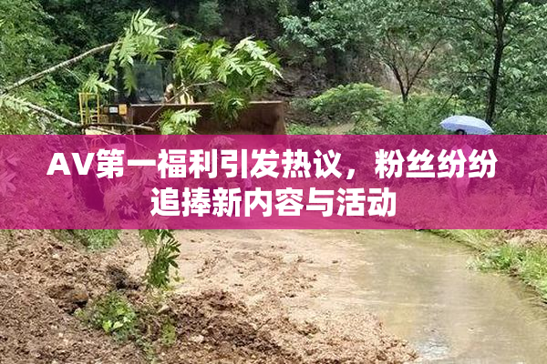 AV第一福利引发热议，粉丝纷纷追捧新内容与活动