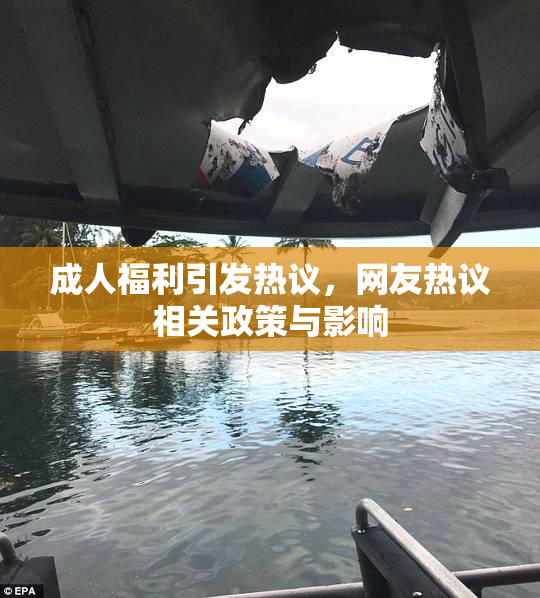 成人福利引发热议，网友热议相关政策与影响