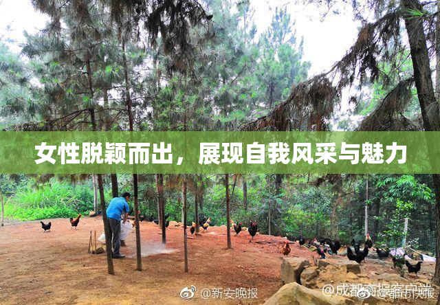 女性脱颖而出，展现自我风采与魅力