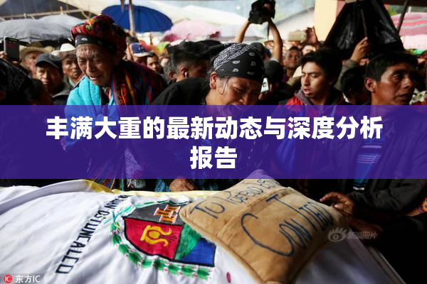 丰满大重的最新动态与深度分析报告