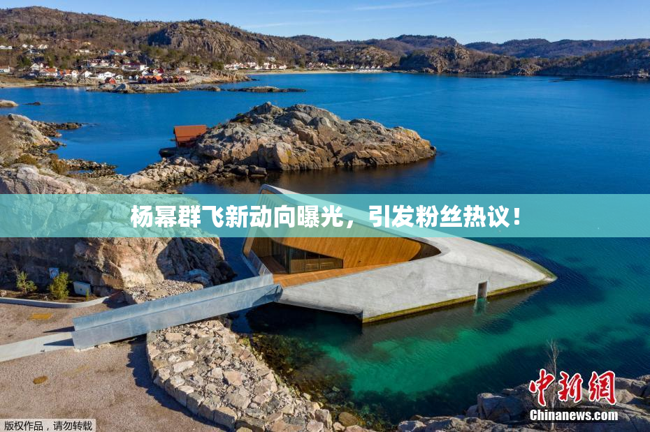 杨幂群飞新动向曝光，引发粉丝热议！