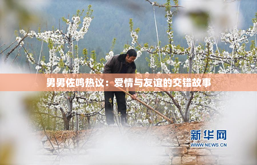 男男佐鸣热议：爱情与友谊的交错故事