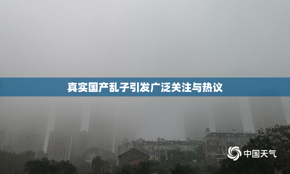 真实国产乱子引发广泛关注与热议