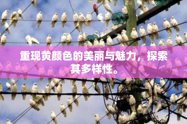 重现黄颜色的美丽与魅力，探索其多样性。