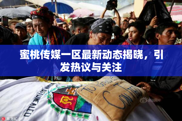 蜜桃传媒一区最新动态揭晓，引发热议与关注