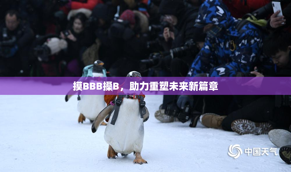 摸BBB搡B，助力重塑未来新篇章