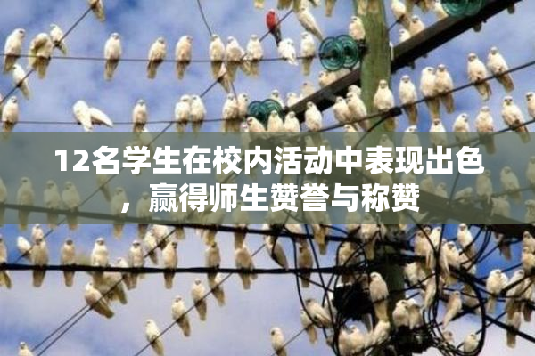 12名学生在校内活动中表现出色，赢得师生赞誉与称赞
