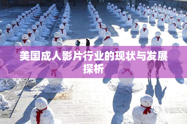 美国成人影片行业的现状与发展探析