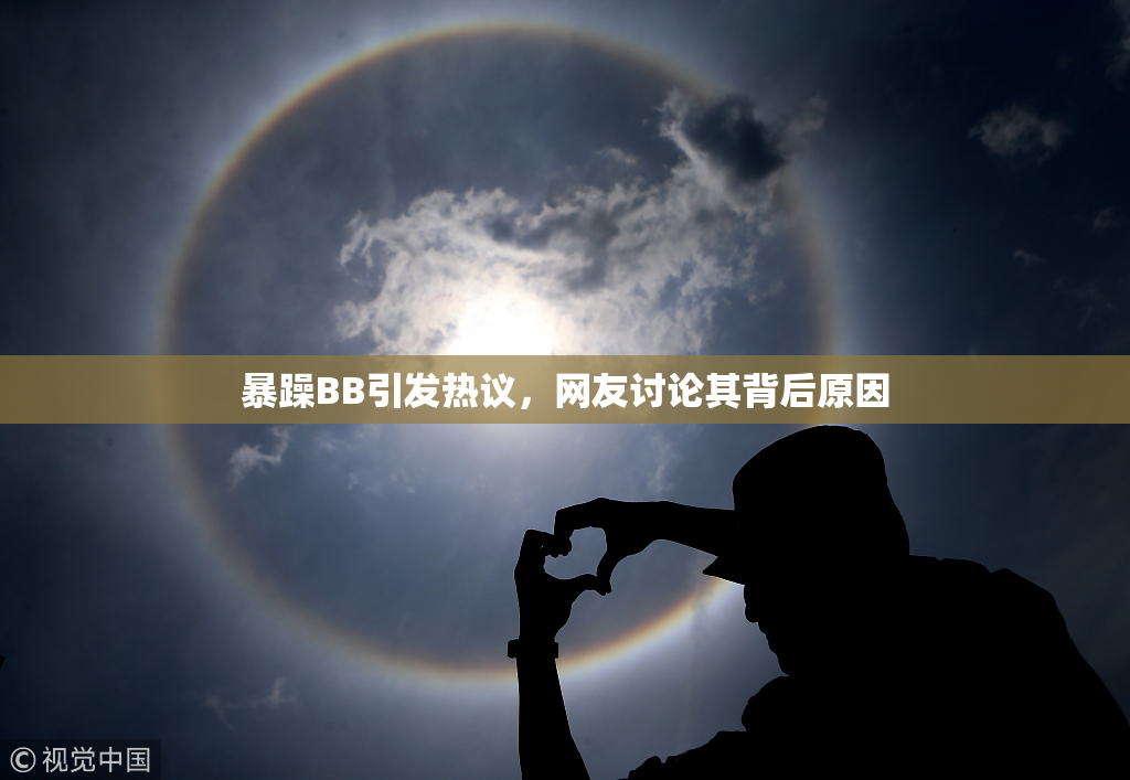 暴躁BB引发热议，网友讨论其背后原因