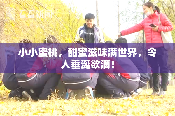 小小蜜桃，甜蜜滋味满世界，令人垂涎欲滴！