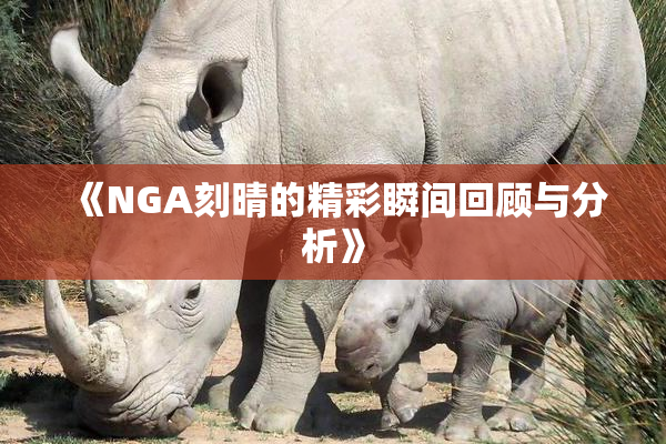 《NGA刻晴的精彩瞬间回顾与分析》
