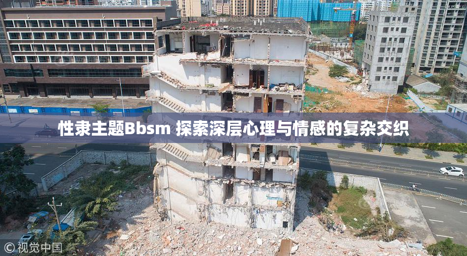 性隶主题Bbsm 探索深层心理与情感的复杂交织