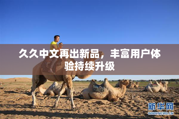 久久中文再出新品，丰富用户体验持续升级