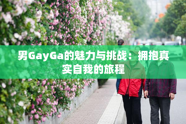 男GayGa的魅力与挑战：拥抱真实自我的旅程