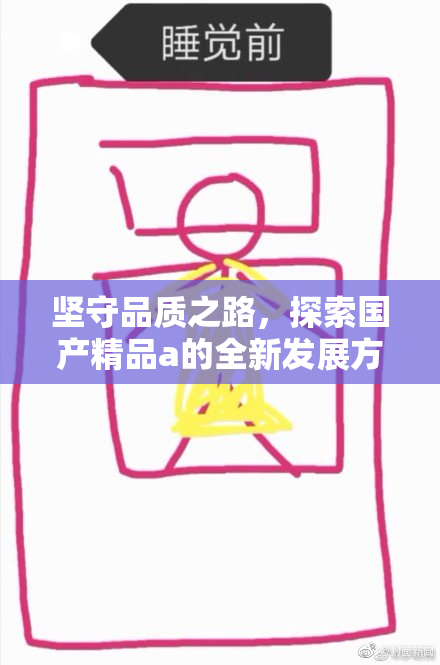 坚守品质之路，探索国产精品a的全新发展方向