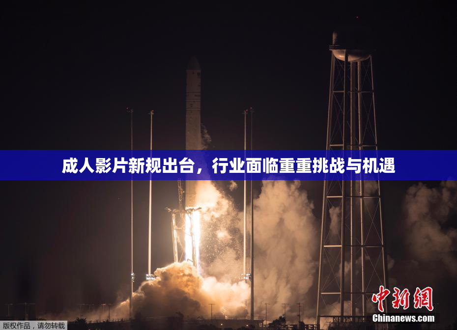 成人影片新规出台，行业面临重重挑战与机遇