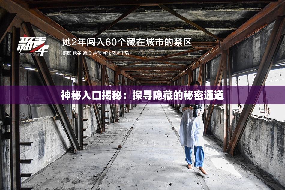 神秘入口揭秘：探寻隐藏的秘密通道